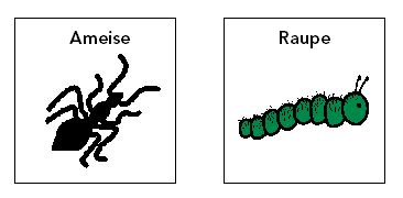 Bild: Ameise oder Raupe