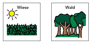 Bild: Wiese oder Wald